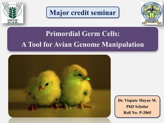 Major credit seminar
Primordial Germ Cells:
A Tool for Avian Genome Manipulation
Dr. Vispute Mayur M.
PhD Scholar
Roll No- P-2065
 