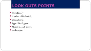 LOOK OUTS POINTS
Flock history
Number of birds died
Clinical signs
Type of feed given
Managemental aspects
medications
 