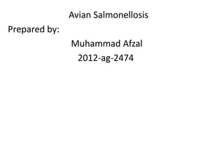 Avian Salmonellosis
Prepared by:
Muhammad Afzal
2012-ag-2474
 