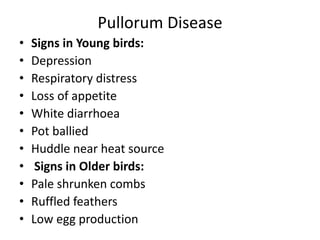 Pullorum Disease
• Signs in Young birds:
• Depression
• Respiratory distress
• Loss of appetite
• White diarrhoea
• Pot ballied
• Huddle near heat source
• Signs in Older birds:
• Pale shrunken combs
• Ruffled feathers
• Low egg production
 