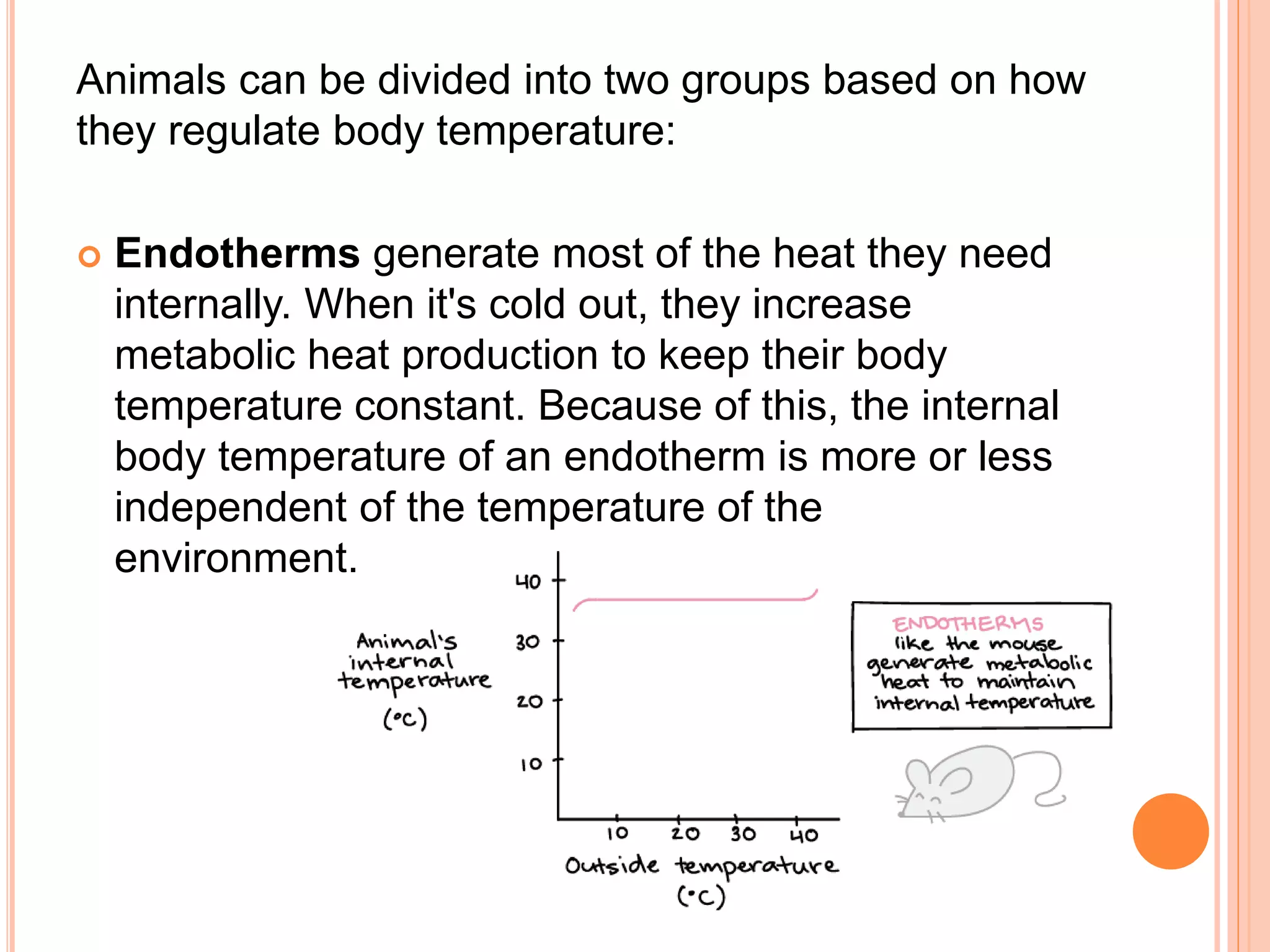 Heat Control In Animal Avian thermoregulation | PPTX