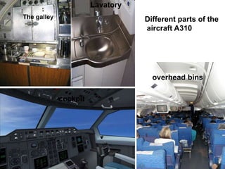 cockpit
overhead bins
The galley
Lavatory
Different parts of the
aircraft A310
 