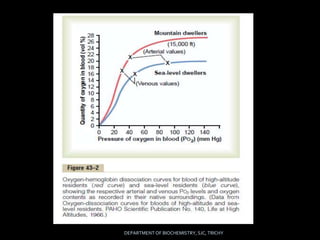 Introduction to Aviation and deep physiology | PPTX