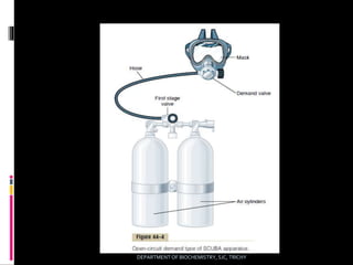 Introduction to Aviation and deep physiology | PPTX