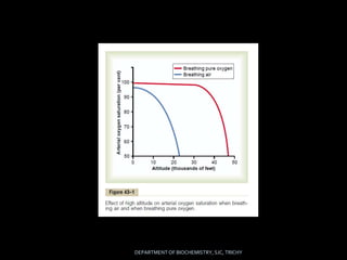 Introduction to Aviation and deep physiology | PPTX