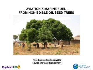AVIATION & MARINE FUEL
FROM NON-EDIBLE OIL SEED TREES
Price Competitive Renewable
Source of Diesel Replacement
 