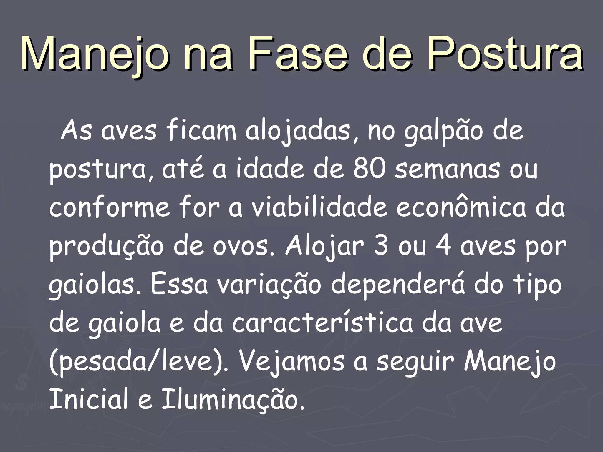 Manejo na Fase de Postura As aves ficam alojadas, no galpão de postura, até a idade de 80 semanas ou conforme for a viabilidade econômica da produção de ovos. Alojar 3 ou 4 aves por gaiolas. Essa variação dependerá do tipo de gaiola e da característica da ave (pesada/leve). Vejamos a seguir Manejo Inicial e Iluminação. 