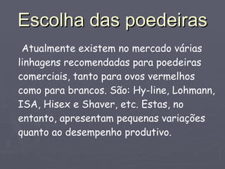 Escolha das poedeiras Atualmente existem no mercado várias linhagens recomendadas para poedeiras comerciais, tanto para ovos vermelhos como para brancos. São: Hy-line, Lohmann, ISA, Hisex e Shaver, etc. Estas, no entanto, apresentam pequenas variações quanto ao desempenho produtivo. 
