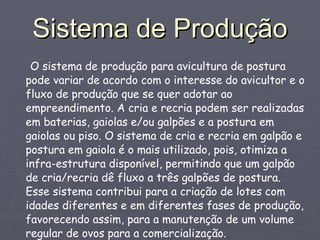 Sistema de Produção O sistema de produção para avicultura de postura pode variar de acordo com o interesse do avicultor e o fluxo de produção que se quer adotar ao empreendimento. A cria e recria podem ser realizadas em baterias, gaiolas e/ou galpões e a postura em gaiolas ou piso. O sistema de cria e recria em galpão e postura em gaiola é o mais utilizado, pois, otimiza a infra-estrutura disponível, permitindo que um galpão de cria/recria dê fluxo a três galpões de postura. Esse sistema contribui para a criação de lotes com idades diferentes e em diferentes fases de produção, favorecendo assim, para a manutenção de um volume regular de ovos para a comercialização. 