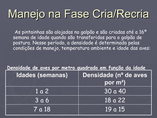 Manejo na Fase Cria/Recria As pintainhas são alojadas no galpão e são criadas até a 16ª semana de idade quando são transferidas para o galpão de postura. Nesse período, a densidade é determinada pelas condições de manejo, temperatura ambiente e idade das aves: Densidade de aves por metro quadrado em função da idade 19 a 15 7 a 18 18 a 22 3 a 6 30 a 40 1 a 2 Densidade (nº de aves por m²) Idades (semanas) 