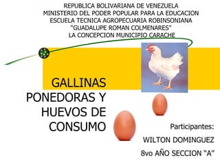 REPUBLICA BOLIVARIANA DE VENEZUELA MINISTERIO DEL PODER POPULAR PARA LA EDUCACION ESCUELA TECNICA AGROPECUARIA ROBINSONIANA “ GUADALUPE ROMAN COLMENARES” LA CONCEPCION MUNICIPIO CARACHE Participantes: WILTON DOMINGUEZ 8vo AÑO SECCION “A” GALLINAS PONEDORAS Y HUEVOS DE CONSUMO 