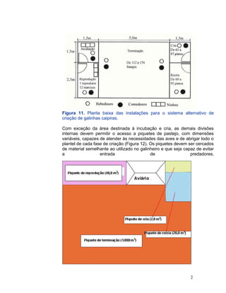Figura 11. Planta baixa das instalações para o sistema alternativo de
criação de galinhas caipiras.
Com exceção da área destinada à incubação e cria, as demais divisões
internas devem permitir o acesso a piquetes de pastejo, com dimensões
variáveis, capazes de atender às necessidades das aves e de abrigar todo o
plantel de cada fase de criação (Figura 12). Os piquetes devem ser cercados
de material semelhante ao utilizado no galinheiro e que seja capaz de evitar
a entrada de predadores.
2
 