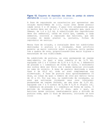 Figura 12. Esquema da disposição das áreas de pastejo do sistema
alternativo de criação de galinhas caipiras.
A fase de reprodução se caracteriza por apresentar uma
relação macho/fêmea de 1:12, cujas aves devem possuir
idade entre 6 e 24 meses. O peso vivo estabelecido para
os machos deve ser de 2,0 a 3,5 kg, enquanto que, para as
fêmeas, de 1,6 a 2,5 kg. A substituição dos reprodutores
deve ser semestral, tendo em vista que, também, a cada
semestre, ocorrerá a reposição das matrizes, que são
oriundas do mesmo plantel e, portanto, filhas do
reprodutor em serviço.
Nessa fase de criação, a instalação deve ter subdivisões
destinadas à postura e à incubação. Esse artifício
permite um maior controle sobre a postura, evita perdas
com a quebra de ovos, proporcionando-lhes maior higiene e
manutenção de sua viabilidade.
Na subdivisão de postura, as aves permanecem em regime
semi-aberto, na qual a área coberta é de 3,75 m2,
equipada com 2 a 4 ninhos de 0,35 m x 0,35 m, 1 bebedouro
de pressão e 1 comedouro em forma de calha. O enchimento
dos ninhos deve ser feito com o mesmo material utilizado
na cama do aviário. A área de pastejo destinada a essa
fase é de 40,0 m2, onde as aves complementam sua
alimentação. A fase de postura dura aproximadamente 15
dias, ao longo da qual o número de ovos por matriz varia
de 10 a 14. Por sua vez, na subdivisão de incubação, as
aves que estiverem incubando seus ovos (chocando)
permanecem em regime fechado, em uma área de 2,25 m2,
equipada com 3 a 4 ninhos de 0,35m X 0,35 m (Figura 13),
1 bebedouro de pressão e 1 comedouro em forma de calha. O
período de incubação dura 21 dias, após o qual, as
matrizes devem retornar imediatamente para a divisão de
postura onde, após 11 dias de descanso, iniciarão um novo
ciclo de postura.
3
 