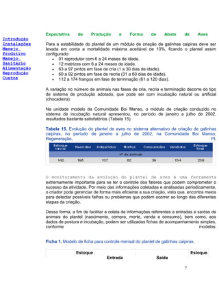 Introdução
Instalações
Manejo
Produtivo
Manejo
Sanitário
Alimentação
Reprodução
Custos
Expectativa de Produção e Forma de Abate de Aves
Para a estabilidade do plantel de um módulo de criação de galinhas caipiras deve ser
levada em conta a mortalidade máxima aceitável de 10%, ficando o plantel assim
configurado:
• 01 reprodutor com 6 a 24 meses de idade.
• 12 matrizes com 6 a 24 meses de idade.
• 63 a 97 pintos em fase de cria (1 a 30 dias de idade).
• 60 a 92 pintos em fase de recria (31 a 60 dias de idade).
• 112 a 174 frangos em fase de terminação (61 a 120 dias).
A variação no número de animais nas fases de cria, recria e terminação decorre do tipo
de sistema de produção adotado, que pode ser com incubação natural ou artificial
(chocadeira).
Na unidade modelo da Comunidade Boi Manso, o módulo de criação conduzido no
sistema de incubação natural apresentou, no período de janeiro a julho de 2002,
resultados bastante satisfatórios (Tabela 15).
Tabela 15. Evolução do plantel de aves no sistema alternativo de criação de galinhas
caipiras, no período de janeiro a julho de 2002, na Comunidade Boi Manso,
Regeneração, PI.
O monitoramento da evolução do plantel de aves é uma ferramenta
extremamente importante para se ter o controle dos fatores que podem comprometer o
sucesso da atividade. Por meio das informações coletadas e analisadas periodicamente,
o criador pode gerenciar de forma mais eficiente a sua criação, visto que, encontra meios
para detectar possíveis falhas ou problemas que podem ocorrer ao longo das diferentes
etapas da criação.
Dessa forma, a fim de facilitar a coleta de informações referentes a entradas e saídas de
animais do plantel (nascimento, compra, morte, venda e consumo), bem como, aos
dados de postura e incubação, podem ser utilizadas fichas de acompanhamento simples,
conforme modelos:
Ficha 1. Modelo de ficha para controle mensal do plantel de galinhas caipiras.
Estoque
Entrada Saída
Estoque
7
 