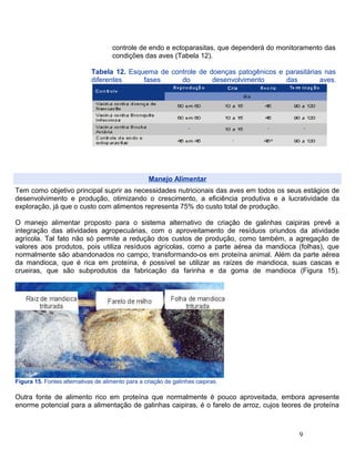 controle de endo e ectoparasitas, que dependerá do monitoramento das
condições das aves (Tabela 12).
Tabela 12. Esquema de controle de doenças patogênicos e parasitárias nas
diferentes fases do desenvolvimento das aves.
Manejo Alimentar
Tem como objetivo principal suprir as necessidades nutricionais das aves em todos os seus estágios de
desenvolvimento e produção, otimizando o crescimento, a eficiência produtiva e a lucratividade da
exploração, já que o custo com alimentos representa 75% do custo total de produção.
O manejo alimentar proposto para o sistema alternativo de criação de galinhas caipiras prevê a
integração das atividades agropecuárias, com o aproveitamento de resíduos oriundos da atividade
agrícola. Tal fato não só permite a redução dos custos de produção, como também, a agregação de
valores aos produtos, pois utiliza resíduos agrícolas, como a parte aérea da mandioca (folhas), que
normalmente são abandonados no campo, transformando-os em proteína animal. Além da parte aérea
da mandioca, que é rica em proteína, é possível se utilizar as raízes de mandioca, suas cascas e
crueiras, que são subprodutos da fabricação da farinha e da goma de mandioca (Figura 15).
Figura 15. Fontes alternativas de alimento para a criação de galinhas caipiras.
Outra fonte de alimento rico em proteína que normalmente é pouco aproveitada, embora apresente
enorme potencial para a alimentação de galinhas caipiras, é o farelo de arroz, cujos teores de proteína
9
 