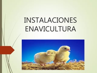 INSTALACIONES
ENAVICULTURA
 