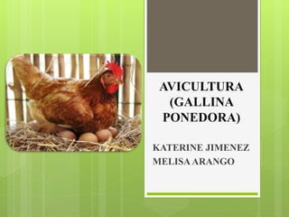 AVICULTURA
(GALLINA
PONEDORA)
KATERINE JIMENEZ
MELISAARANGO
 