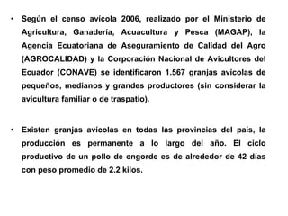 • Según el censo avícola 2006, realizado por el Ministerio de
Agricultura, Ganadería, Acuacultura y Pesca (MAGAP), la
Agencia Ecuatoriana de Aseguramiento de Calidad del Agro
(AGROCALIDAD) y la Corporación Nacional de Avicultores del
Ecuador (CONAVE) se identificaron 1.567 granjas avícolas de
pequeños, medianos y grandes productores (sin considerar la
avicultura familiar o de traspatio).
• Existen granjas avícolas en todas las provincias del país, la
producción es permanente a lo largo del año. El ciclo
productivo de un pollo de engorde es de alrededor de 42 días
con peso promedio de 2.2 kilos.
 