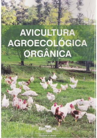 Avicultura agroecologica