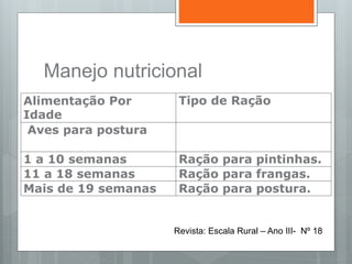 Manejo nutricional
Alimentação Por
Idade
Tipo de Ração
Aves para postura
1 a 10 semanas Ração para pintinhas.
11 a 18 semanas Ração para frangas.
Mais de 19 semanas Ração para postura.
Revista: Escala Rural – Ano III- Nº 18
 