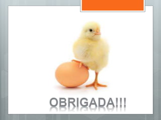 Avicultura de postura