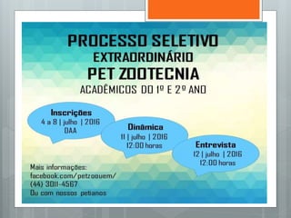 Avicultura de postura