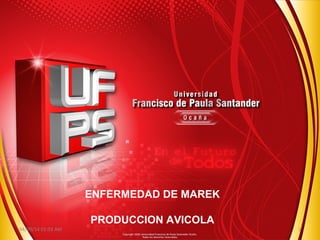 ENFERMEDAD DE MAREK 
PRODUCCION AVICOLA 
04/09/14 01:03 AM 1 
 