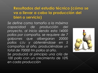 Se define como tamaño a la máxima
capacidad de producción del
proyecto, al inicio siendo esta 14000
pollos por campaña, se requiere de 7
galpones que albergaran 20000
pollos c/u y obteniéndose en 5
campañas al año, produciéndose un
total de 70000 tm pollos al año.
Se producirá al principio una cría de
100 pollo con un crecimiento de 10%
en cada producción
 