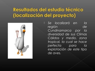    Se localizará en        la
    región                 de
    Cundinamarca por la
    diversidad de sus Climas
    Cálidos y medio, zona
    tropical, la cual se hace
    perfecta       para     la
    explotación de este tipo
    de aves.
 