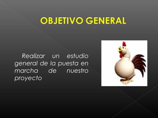 Realizar un estudio
general de la puesta en
marcha    de    nuestro
proyecto
 