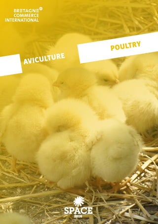 AVICULTURE
POULTRY
 