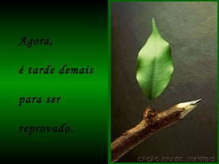 Agora, é tarde demais para ser reprovado. 