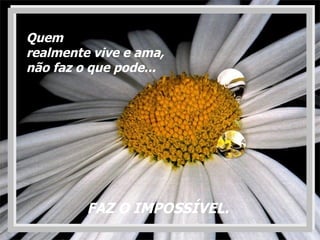 FAZ O IMPOSSÍVEL.  Quem  realmente vive e ama,  não faz o que pode... 