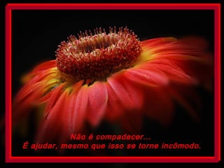 Não é compadecer...
É ajudar, mesmo que isso se torne incômodo.
 