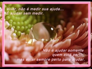Viver, não é medir sua ajuda...
É ajudar sem medir.
Não é ajudar somente
quem está perto,
mas estar sempre perto para ajudar.
 