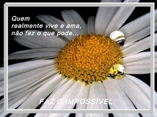 FAZ O IMPOSSÍVEL.
Quem
realmente vive e ama,
não faz o que pode...
 