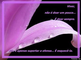 Viver,

                          não é doar um pouco...

                                 É doar sempre.




Não é apenas suportar a ofensa... É esquecê-la.
 