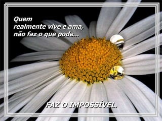 Quem
realmente vive e ama,
não faz o que pode...




         FAZ O IMPOSSÍVEL.
 