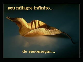 seu milagre infinito... de recomeçar... 