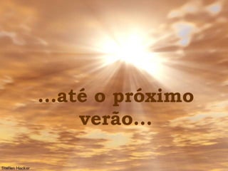 ...até o próximo verão... 
