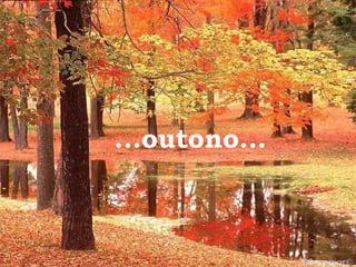 ...outono...



               Educamor©
 