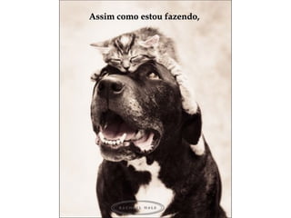 Assim como estou fazendo,Assim como estou fazendo,
 