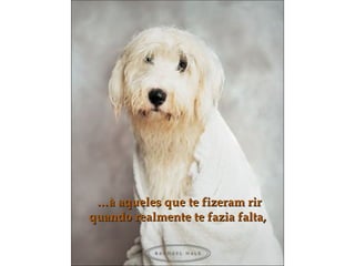 ……à aqueles que te fizeram rirà aqueles que te fizeram rir
quando realmente te fazia falta,quando realmente te fazia falta,
 