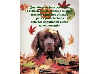 Quando se fecha a porta paraQuando se fecha a porta para
a felicidade, ela voltará a se abrir,a felicidade, ela voltará a se abrir,
mas nós seguimos olhandomas nós seguimos olhando
para a porta fechadapara a porta fechada
sem dar importância a essesem dar importância a esse
novo momento.novo momento.
 