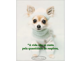 ““A vida não se contaA vida não se conta
pela quantidade de respiros,pela quantidade de respiros,
 