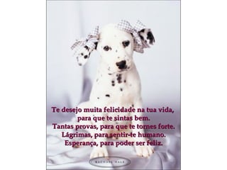 Te desejo muita felicidade na tua vida,Te desejo muita felicidade na tua vida,
para que te sintas bem.para que te sintas bem.
Tantas provas, para que te tornes forte.Tantas provas, para que te tornes forte.
Lágrimas, para sentir-te humano.Lágrimas, para sentir-te humano.
Esperança, para poder ser feliz.Esperança, para poder ser feliz.
 