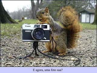 E agora, uma foto sua?
 