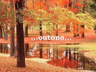 Educamor © ...outono...  