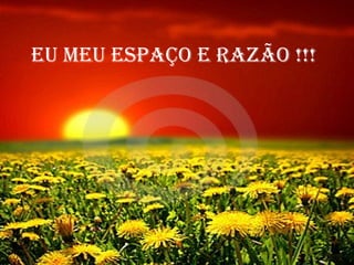 Eu mEu Espaço E razão !!!

 