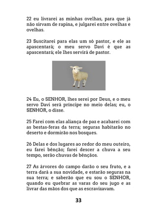 33
22 eu livrarei as minhas ovelhas, para que já
não sirvam de rapina, e julgarei entre ovelhas e
ovelhas.
23 Suscitarei para elas um só pastor, e ele as
apascentará; o meu servo Davi é que as
apascentará; ele lhes servirá de pastor.
24 Eu, o SENHOR, lhes serei por Deus, e o meu
servo Davi será príncipe no meio delas; eu, o
SENHOR, o disse.
25 Farei com elas aliança de paz e acabarei com
as bestas-feras da terra; seguras habitarão no
deserto e dormirão nos bosques.
26 Delas e dos lugares ao redor do meu outeiro,
eu farei bênção; farei descer a chuva a seu
tempo, serão chuvas de bênçãos.
27 As árvores do campo darão o seu fruto, e a
terra dará a sua novidade, e estarão seguras na
sua terra; e saberão que eu sou o SENHOR,
quando eu quebrar as varas do seu jugo e as
livrar das mãos dos que as escravizavam.
 